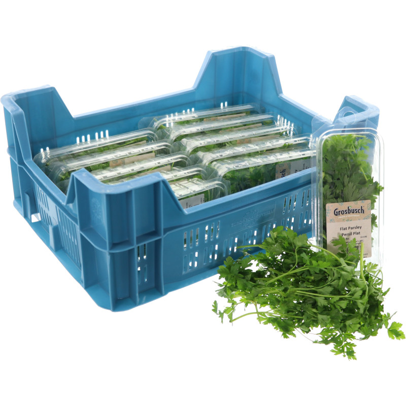 PERSIL PLAT GROSBUSCH 12X20G